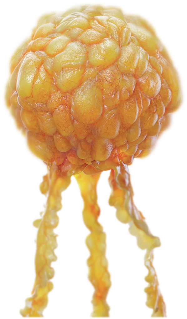 Illustration of a Triglyceride Illustration of a Triglyceride