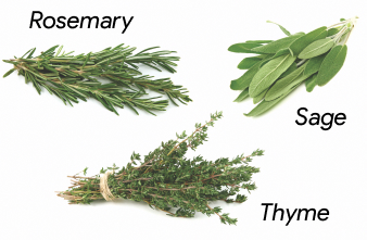 Fresh Rosemary, Thyme & Sage Fresh Rosemary, Thyme & Sage